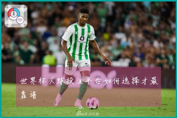 世界杯买球投注平台如何选择才最靠谱