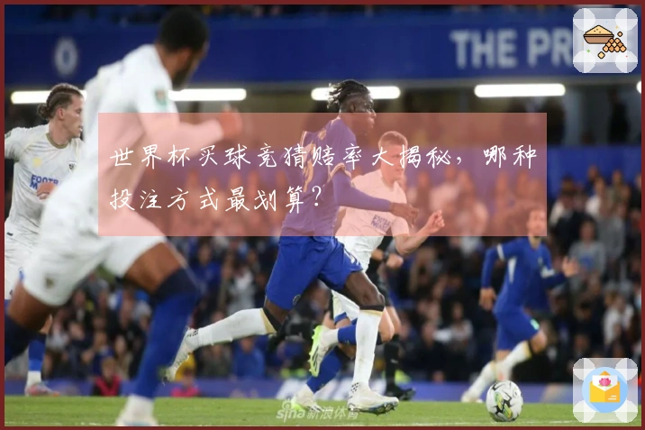 世界杯买球竞猜赔率大揭秘，哪种投注方式最划算？