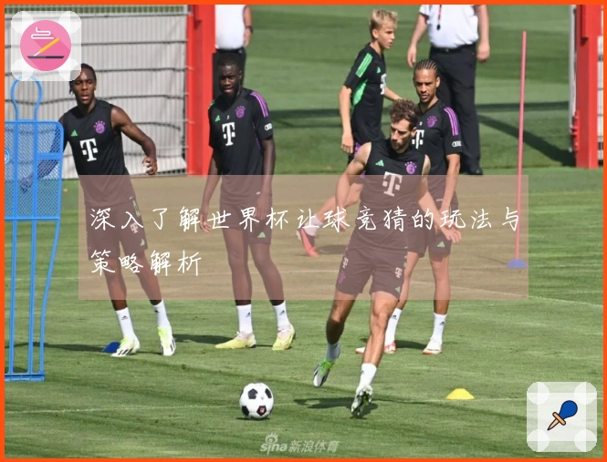 深入了解世界杯让球竞猜的玩法与策略解析