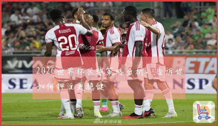 2026世界杯买球策略分析，告诉你如何押注更稳健