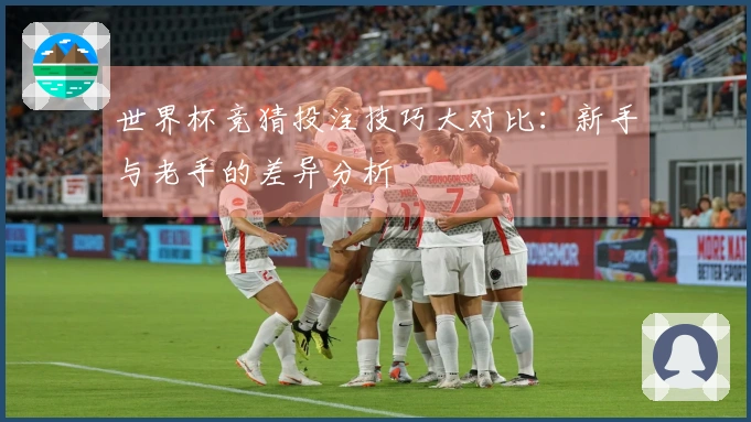 世界杯竞猜投注技巧大对比：新手与老手的差异分析