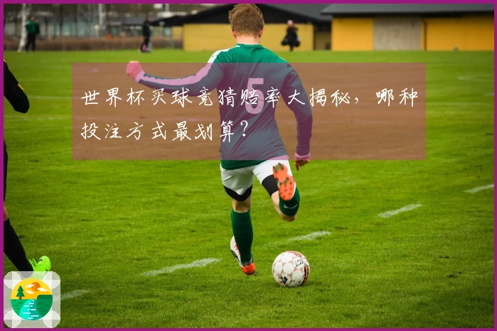 世界杯买球竞猜赔率大揭秘，哪种投注方式最划算？