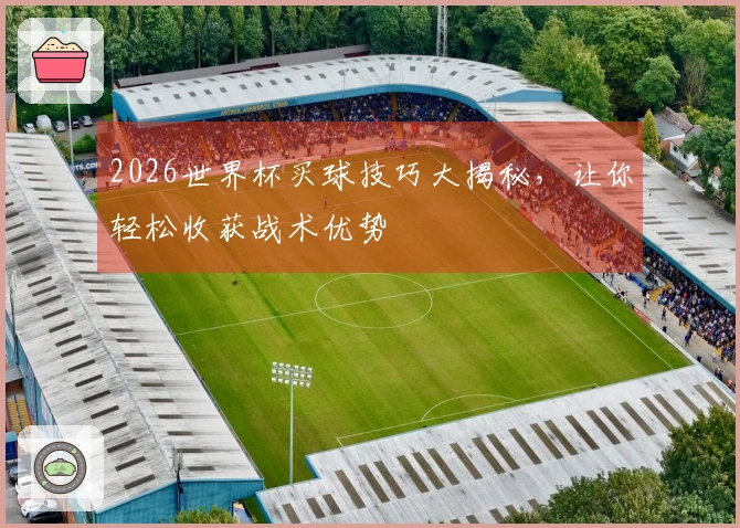 2026世界杯买球技巧大揭秘，让你轻松收获战术优势