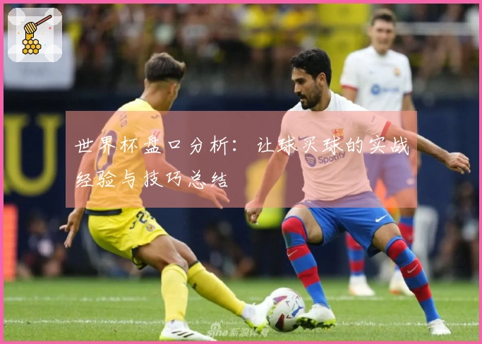 世界杯盘口分析：让球买球的实战经验与技巧总结