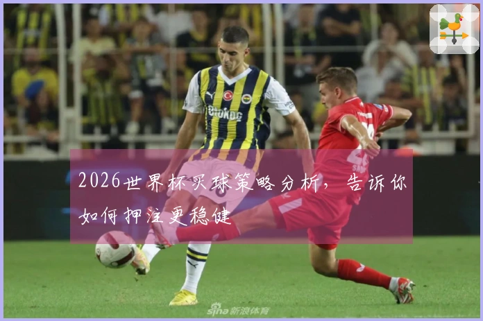 2026世界杯买球策略分析，告诉你如何押注更稳健